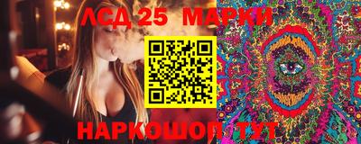 гидропоника Тверь