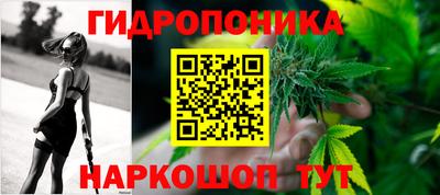 гашик Татарск