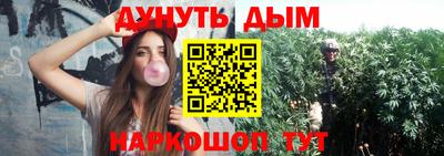 гидропоника Тверь