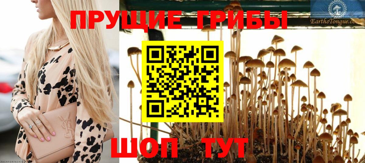 Галлюциногенные грибы Cubensis Нижний Тагил