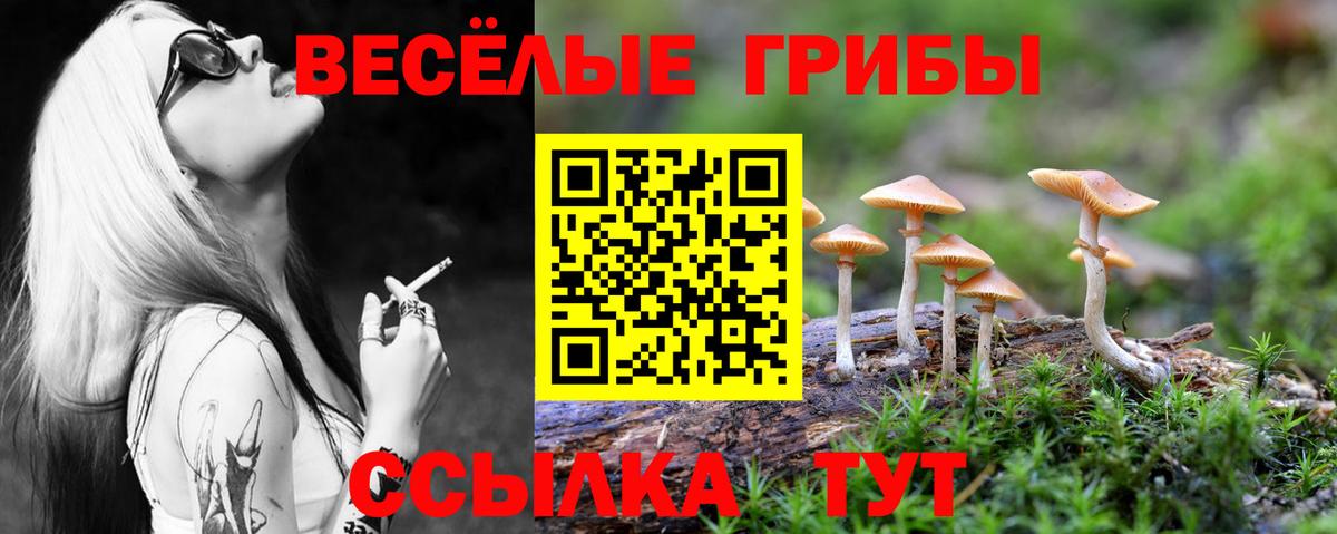 ГАШ  ГАШ  LSD-25  ЭКСТАЗИ  Вход с VPN  Нижний Тагил  Марихуана  Канабис  Кокаин  Меф МЯУ МЯУ  