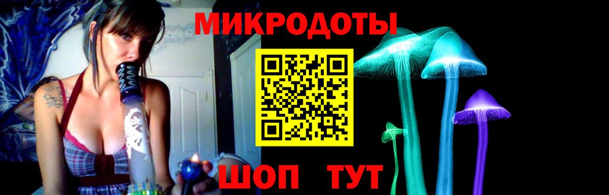 Нижний Тагил  Псилоцибиновые грибы Psilocybe  Вход с VPN 